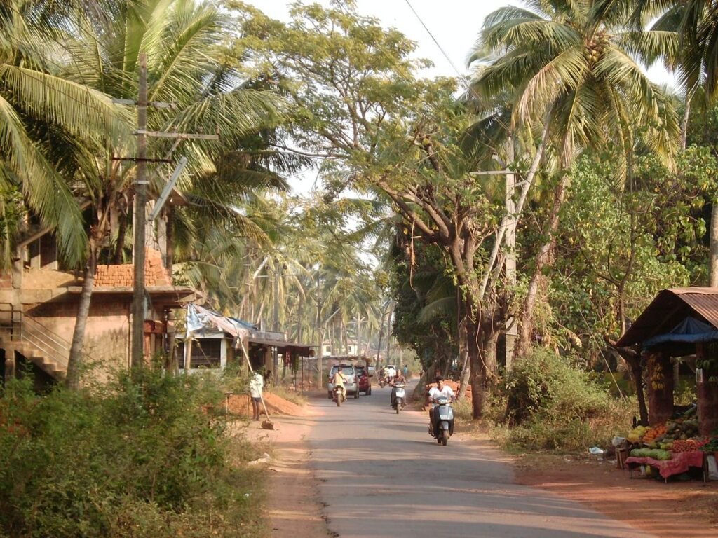 Morjim Beach in North Goa